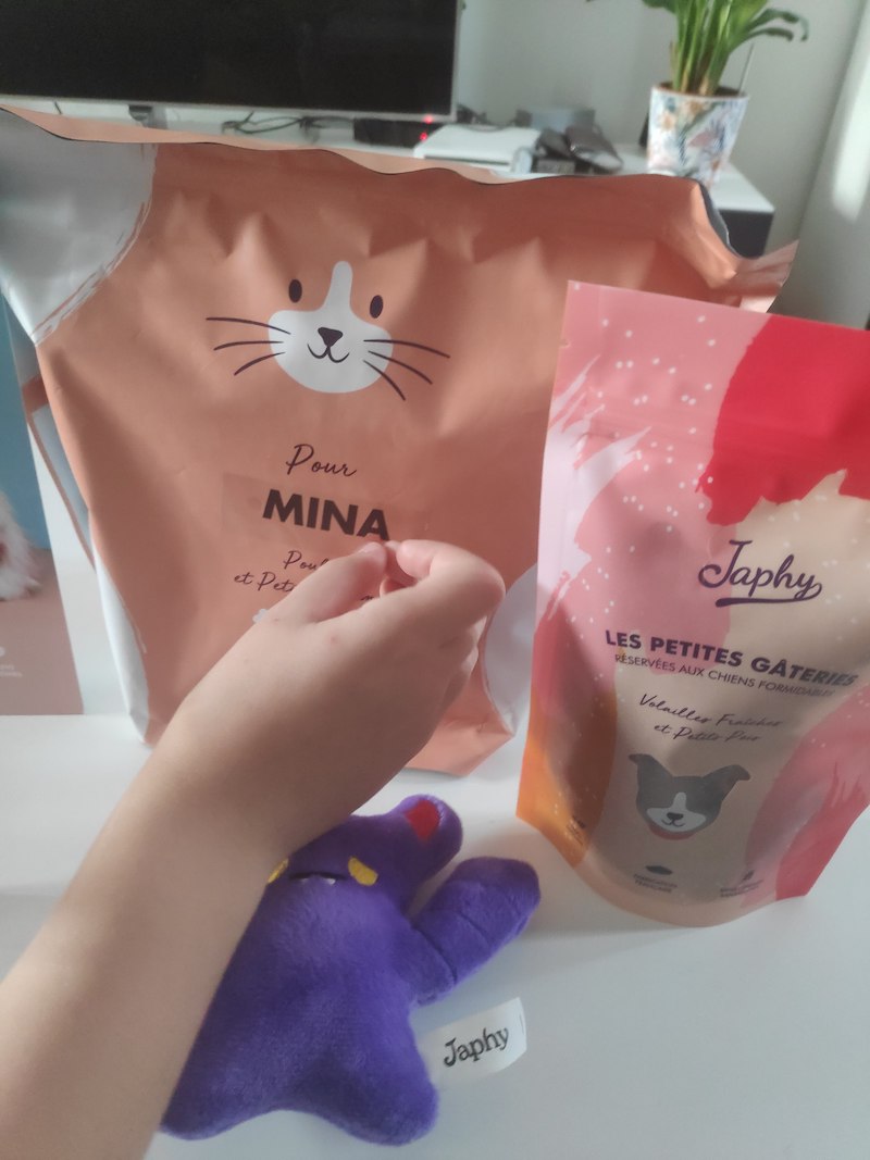 Mina le chat a testé les croquettes Japhy Olive Banane et Pastèque